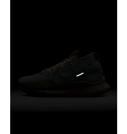 Кросівки жіночі Nike Pegasus Trail 4 Gore-Tex Turquoise DJ7929-301