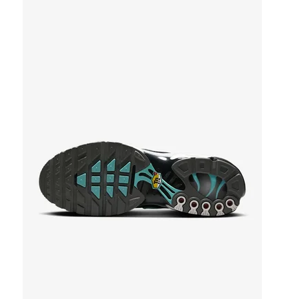 Кроссовки мужские Nike Air Max Plus White HV6225-100