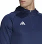 Кофта мужская Adidas Hooded Sweatshirt Tiro23 C Hood Blue HK8056