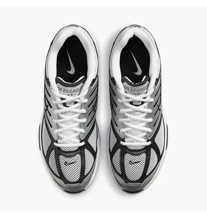 Кросівки чоловічі Nike Air Pegasus 2005 Metallic HQ3031-002