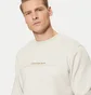 Свитшот мужской Calvin Klein Jeans Beige J30J327119-PDH
