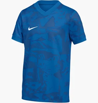 Футболка детская Nike Precision Vii Blue FZ9336-463