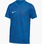 Футболка детская Nike Precision Vii Blue FZ9336-463