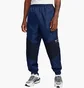 Штаны мужские Nike Sportswear Air Woven Pants Blue FN7688-410