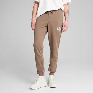 Штани чоловічі Puma Class French Brown 684652-93