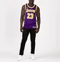 Майка унисекс Nike Nba Los Angeles Lakers Statement Edition Lebron James Violet/Black CV9481-508