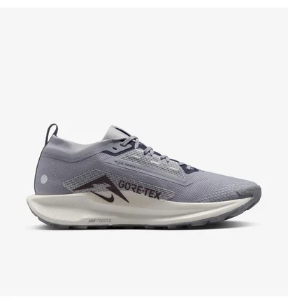 Кроссовки мужские Nike Pegasus Trail 5 Gtx Grey FQ0908-006