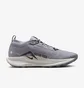 Кроссовки мужские Nike Pegasus Trail 5 Gtx Grey FQ0908-006