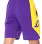 Шорти чоловічі Nike Lal Mnk Df Short Pract 18 Violet/Yellow Aj5077-504