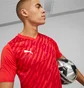 Футболка чоловіча Puma Teamultimate Red 705371-01