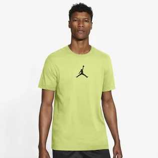 Футболка мужская Air Jordan Jumpman Dri-Fit Crew Yellow CW5190-352