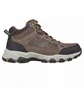 Кросівки чоловічі Skechers Selmen Melano Brown 204477-CHOC