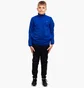 Спортивный костюм детский Adidas Essentials Blue HN1918
