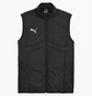Жилетка мужская Puma Individual Winterised Gilet Men Black 659573-01