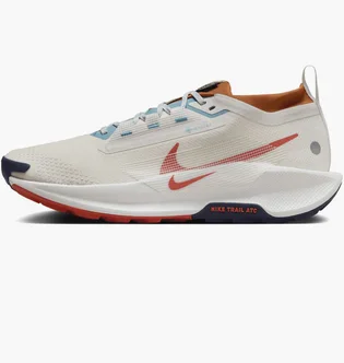 Кроссовки мужские Nike Pegasus Trail 5 Gore-Tex Beige FQ0908-003