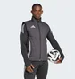 Жилетка чоловіча Adidas Tiro 24 Competition Winterized Grey IM9968