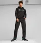 Худи мужское Puma Mercedes-Amg Petronas Black 621159-01