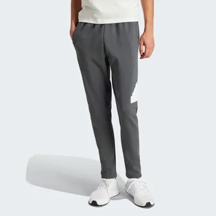 Штаны мужские Adidas Future Icons Badge Of Sport Joggers Grey IR9177