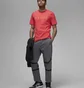 Штани чоловічі Nike Paris Saint-Germain Grey Dv0617-014
