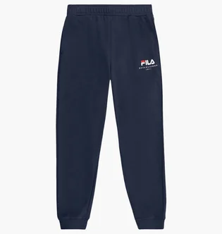 Штаны мужские Fila Valsera Regular Logo Blue FAU0228.50004