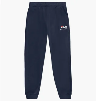 Штаны мужские Fila Valsera Regular Logo Blue FAU0228.50004