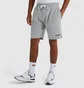 Шорты мужские Ellesse Trio Short Grey SEP16392-112