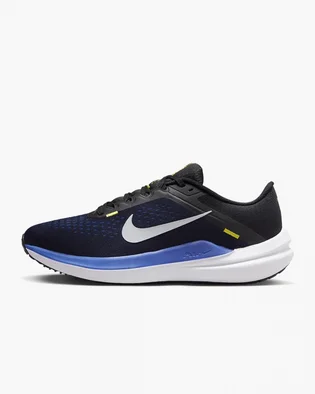 Кроссовки мужские Nike Winflo 10 Blue DV4022-005