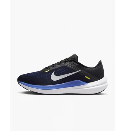 Кроссовки мужские Nike Winflo 10 Blue DV4022-005