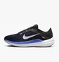 Кроссовки мужские Nike Winflo 10 Blue DV4022-005