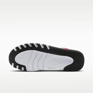 Кросівки чоловічі Nike Flex Train Black HV9972-004