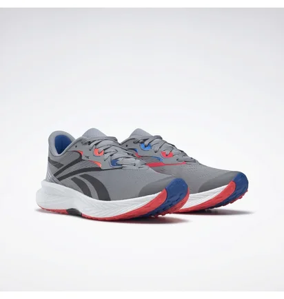 Кросівки чоловічі Reebok Floatride Energy 5 Grey GY0073
