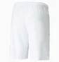 Шорти чоловічі Puma Teamliga White 704924-04