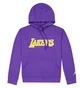 Худи мужское Nike Nba Los Angeles Lakers Statement Edition Violet CW1084-504