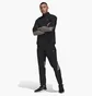 Спортивный костюм мужской Adidas Mettalic Ts Black Gt3090