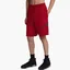 Шорты мужские Air Jordan Jumplogo Shorts Red Db1812-687