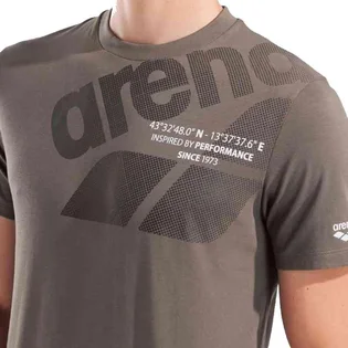 Футболка чоловіча Arena Logo Brown 011000-250