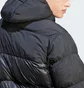 Пуховик мужской Adidas Adicolor Down Regen Hooded Puffer Black IL2572