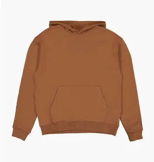 Худи мужское Air Jordan Wordmark Fleece Hoodie Brown FJ1966-281