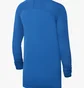 Термобілизна дитяча Nike Y Nk Df Park 1Stlyr Jsy Ls Blue Av2611-463