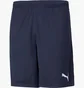 Шорти чоловічі Puma Teamrise Training Shorts Blue 65733606
