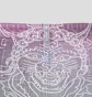 Юбка женская RipNDip Trace Multi RNDSUM25WO5