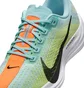 Кросівки жіночі Nike Pegasus Plus Turquoise FQ7261-400