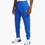 Штаны мужские Nike Sportswear Club Fleece Joggers Blue BV2671-480