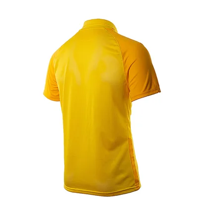 Футболка чоловіча Nike Trophy Iv Yellow BV6725-719