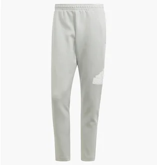 Штани чоловічі Adidas Future Icons Badge Of Sport Sportswear Grey IJ6402