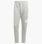 Штаны мужские Adidas Future Icons Badge Of Sport Sportswear Grey IJ6402
