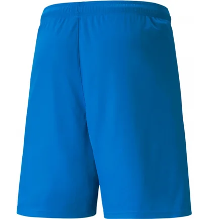 Шорты мужские Puma Teamliga Shorts Blue 704924-02