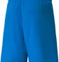 Шорты мужские Puma Teamliga Shorts Blue 704924-02