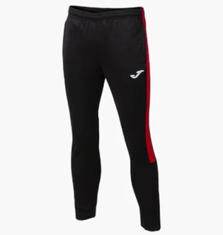 Штаны мужские Joma Eco Championship Black 102752.106