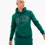 Худі чоловіче Gap Logo Hoodie Green 546844431